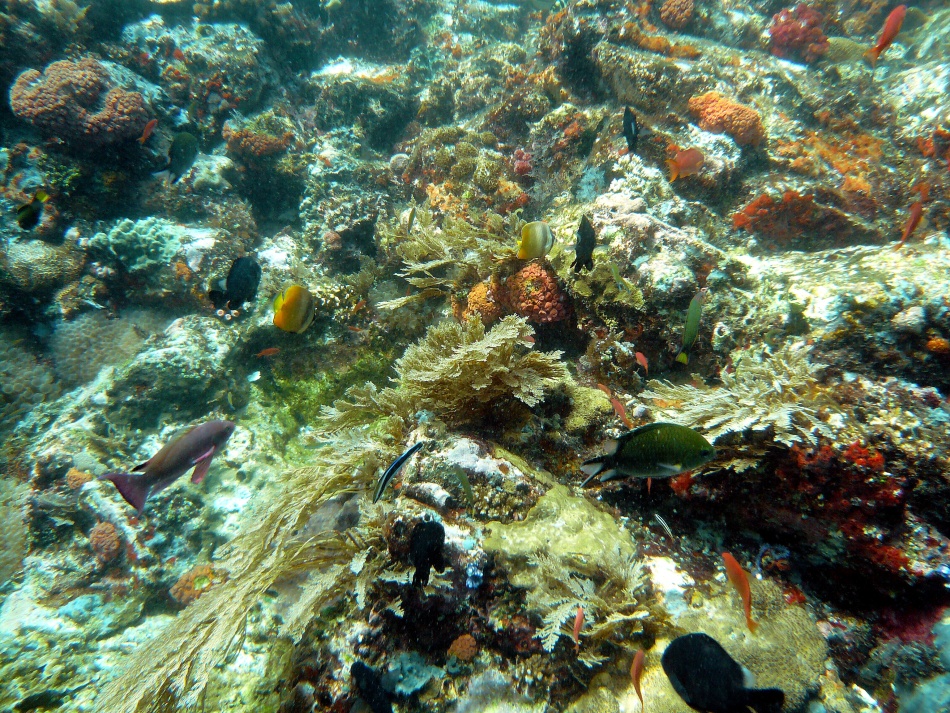 P1000793.jpg