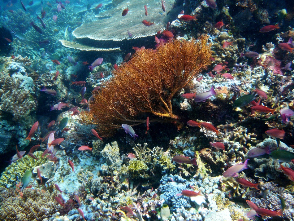 P1000840.jpg
