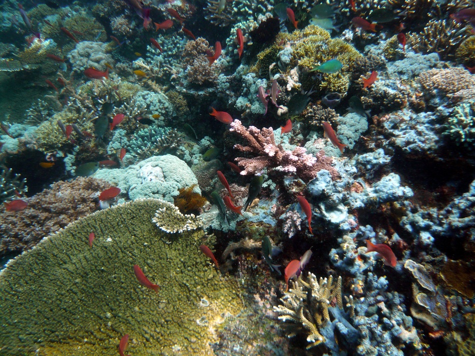 P1000842.jpg