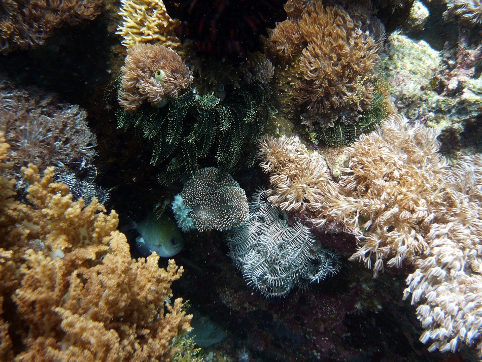 P1000853.jpg