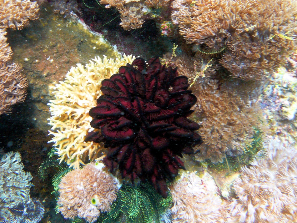P1000854.jpg