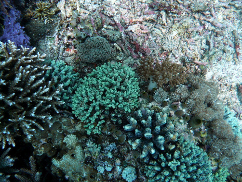 P1000856.jpg