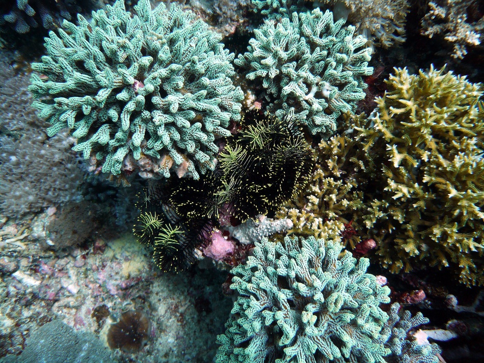 P1000869.jpg