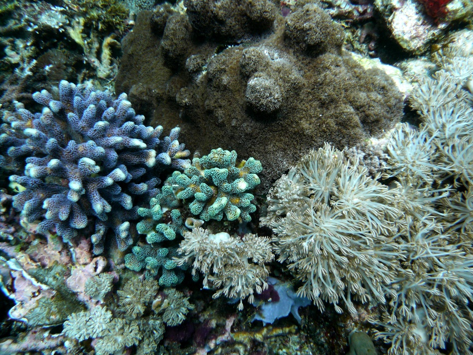 P1000871.jpg