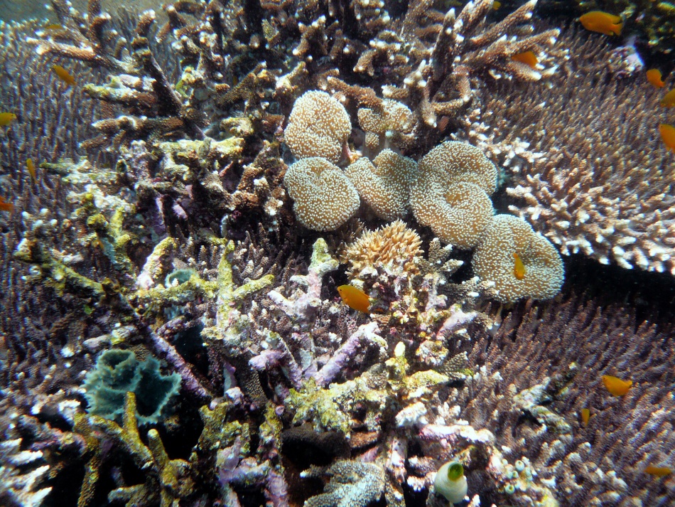 P1000875.jpg