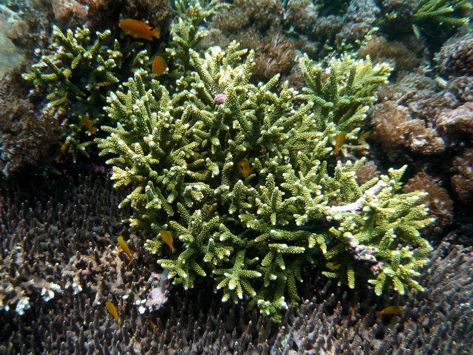 P1000876.jpg