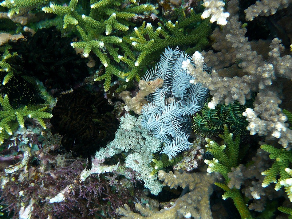 P1000886.jpg