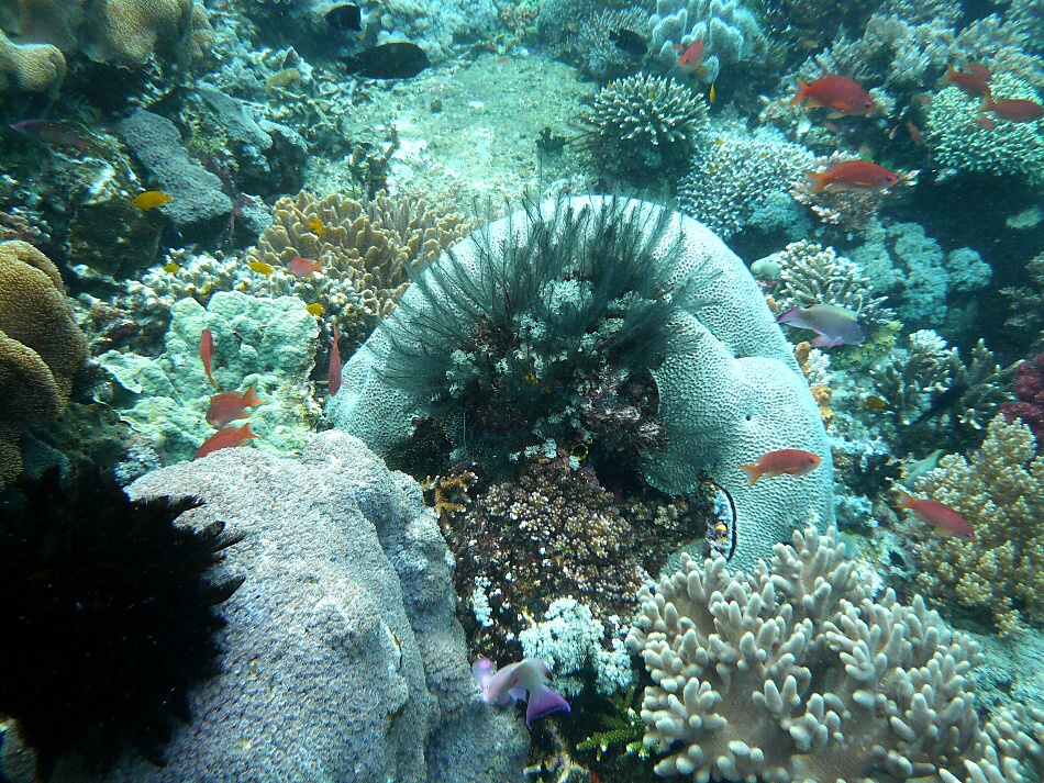 P1000896.jpg