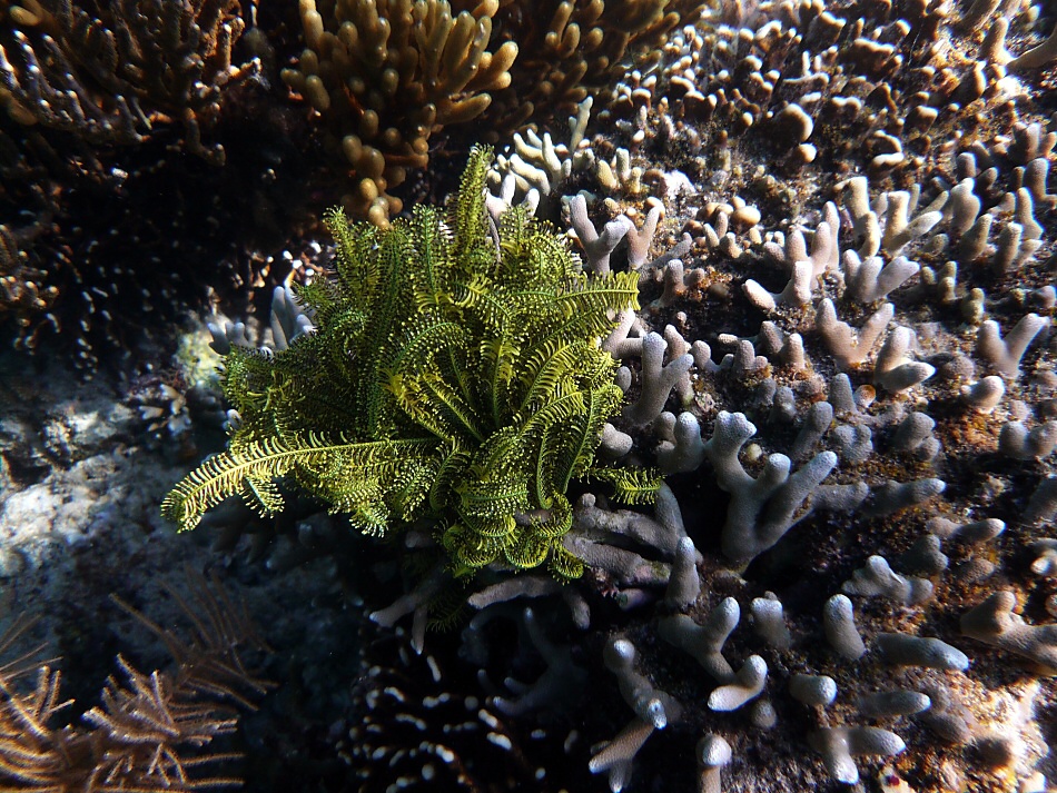 P1010013.jpg