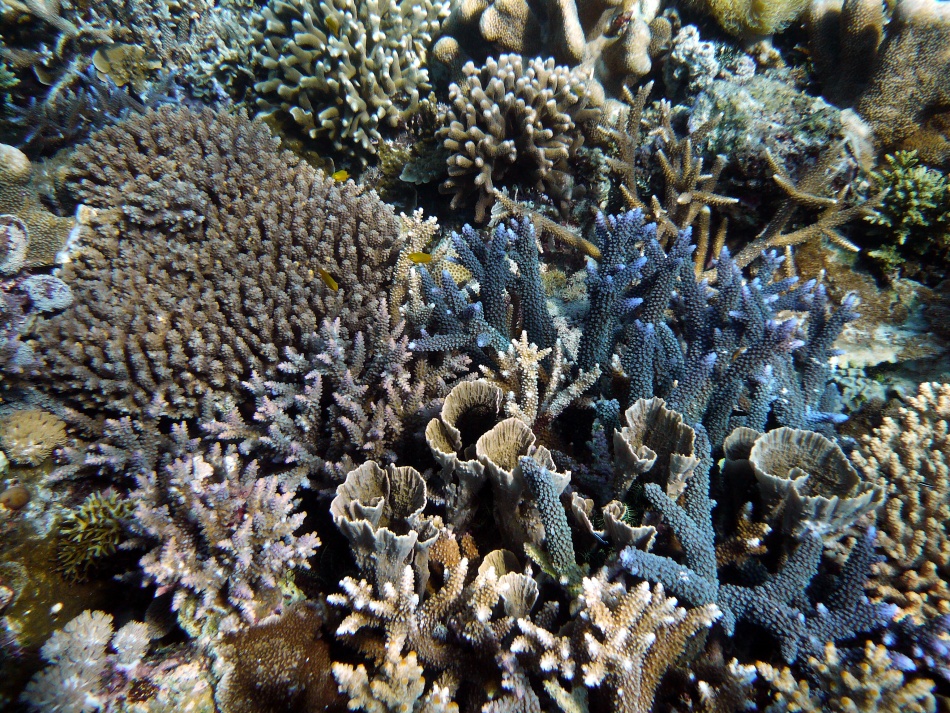P1010058.jpg