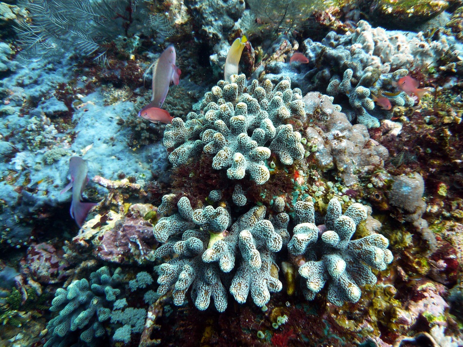 P1010084.jpg