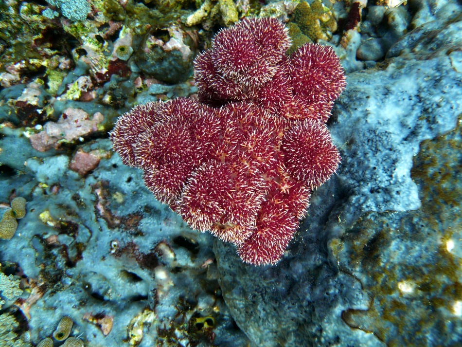 P1010086.jpg