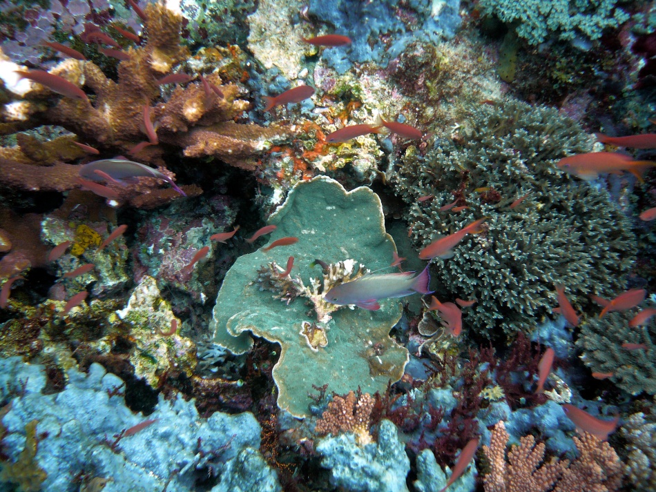 P1010095.jpg