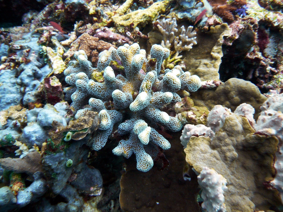 P1010097.jpg