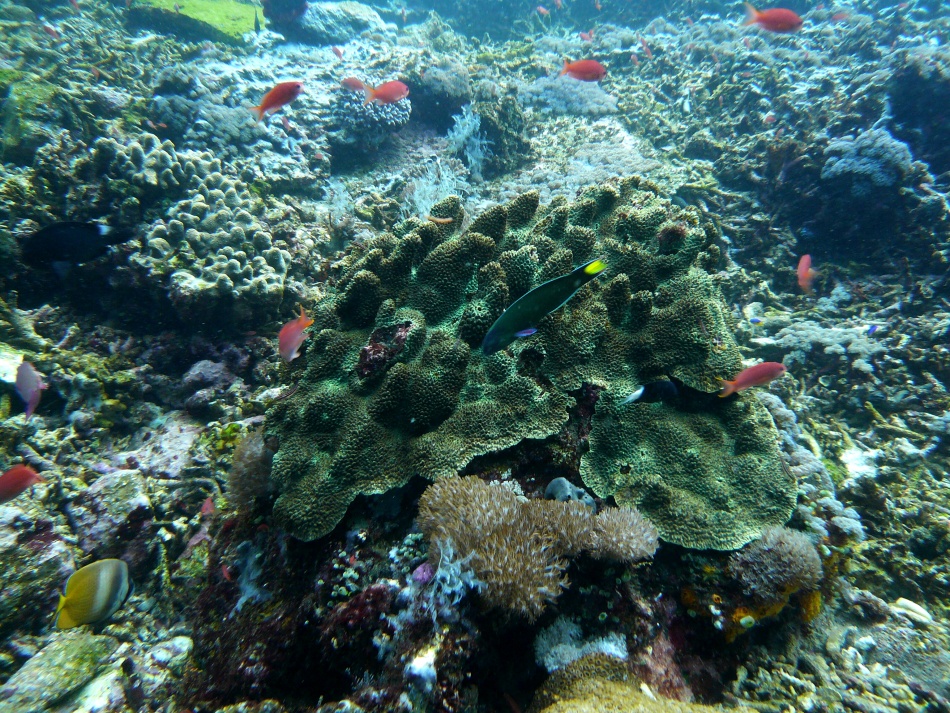 P1010109.jpg