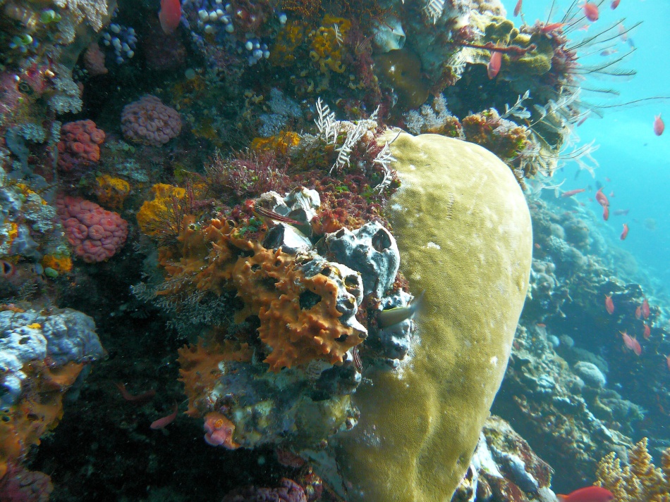 P1010133.jpg