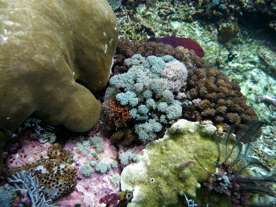 P1010137.jpg