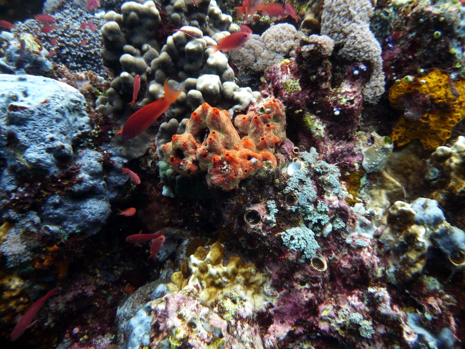P1010144.jpg