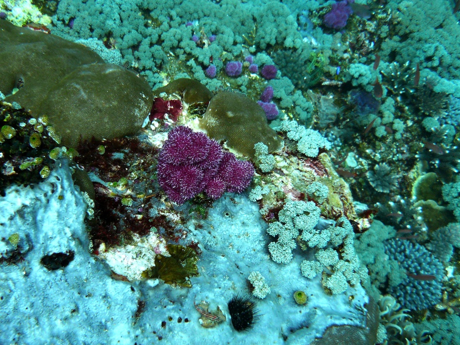 P1010150.jpg