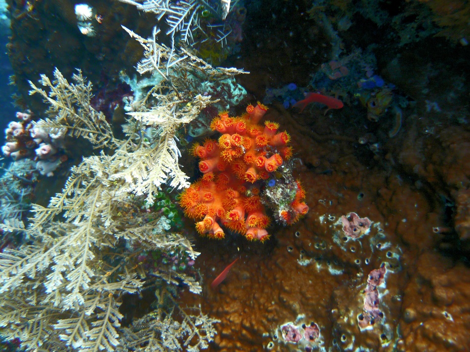 P1010153.jpg