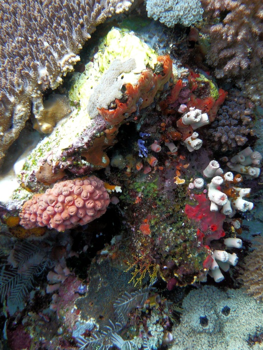 P1010156.jpg