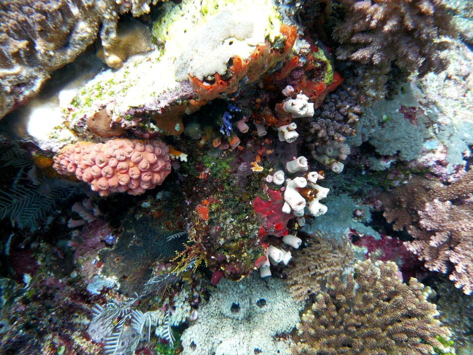 P1010163.jpg