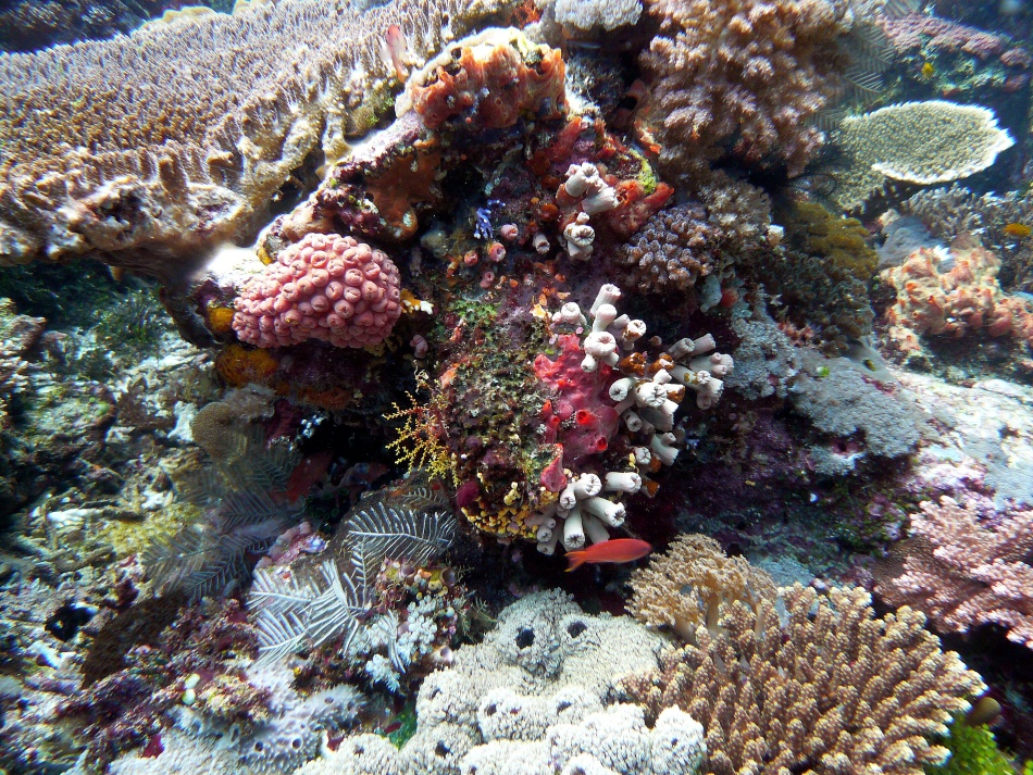 P1010164.jpg