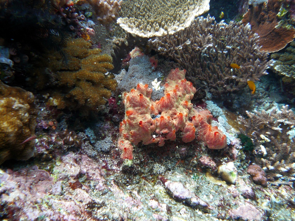 P1010165.jpg