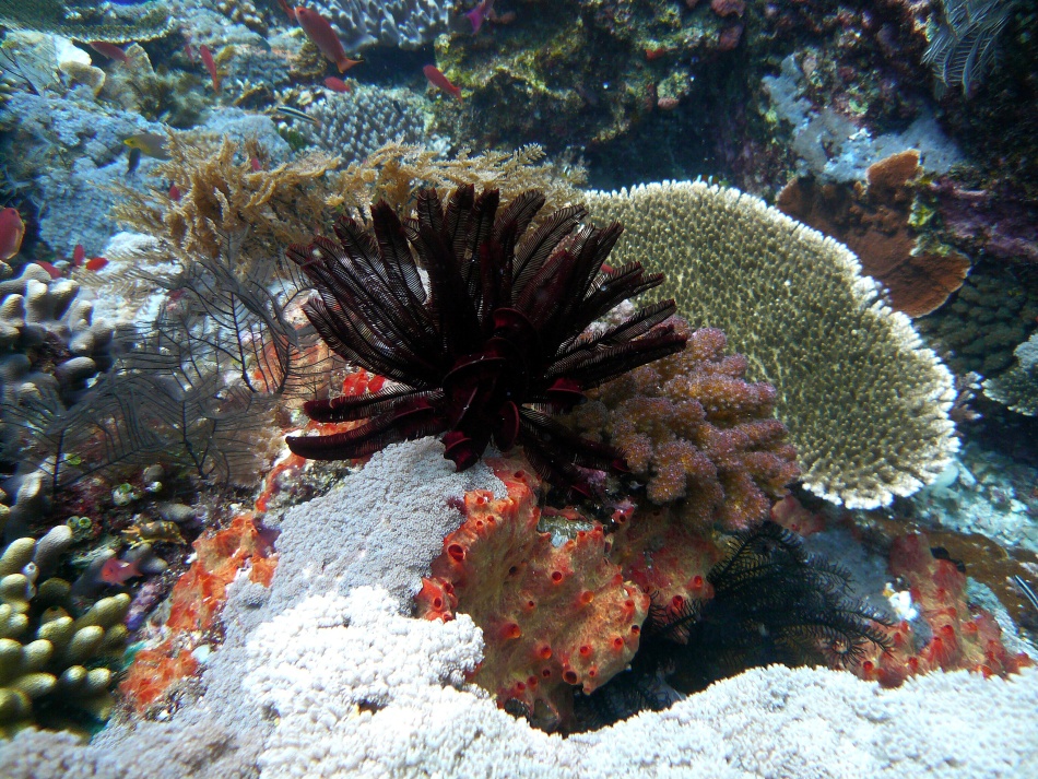 P1010166.jpg