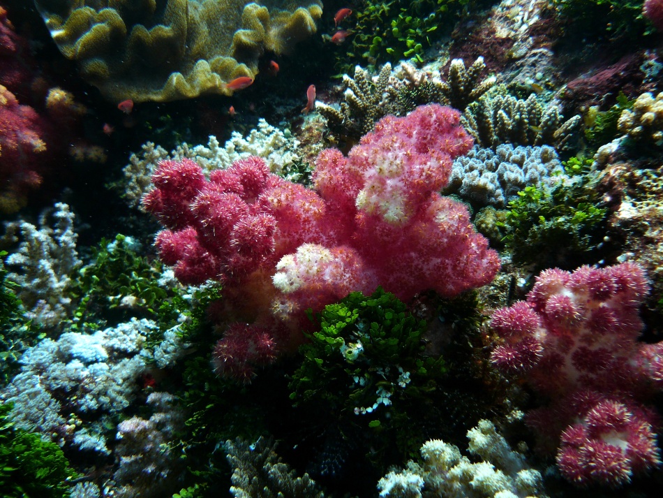 P1010180.jpg