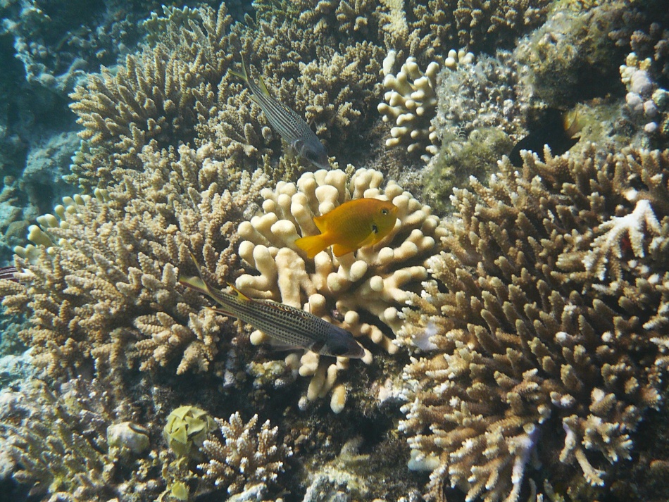 P1000277.jpg