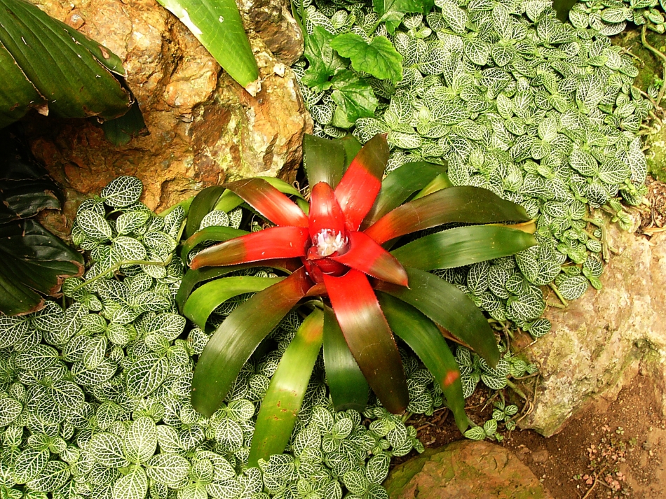_P1030004_1