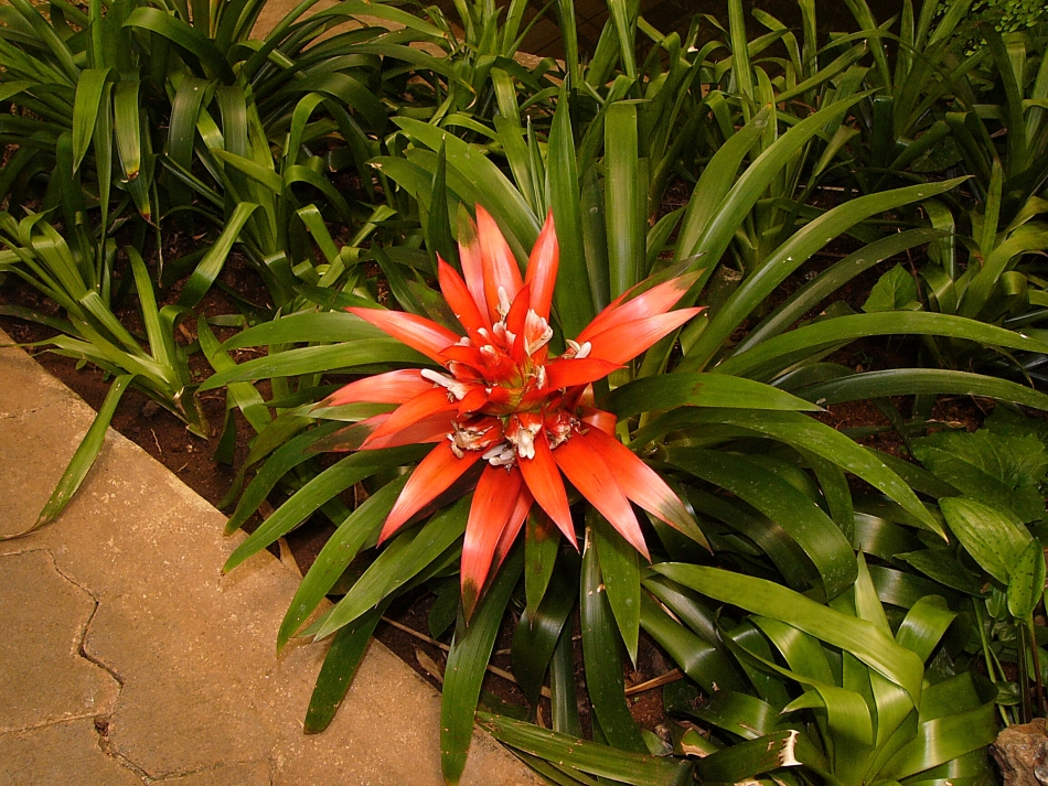 _P1030006_1